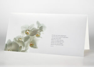 Weiße Orchidee - Trauerkarte Motiv B-15